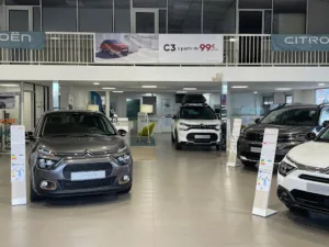 CITROËN BRIE-COMTE-ROBERT – SOGAME BRIE à Brie-Comte-Robert