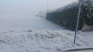 Villejust Auto à Villejust