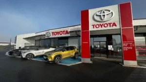 Toyota-Magot à Saint-Laurent-des-Vignes