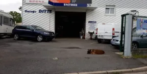 Garage Bruno Ditte à Reims
