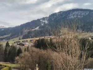 Village Auto Services à Praz-sur-Arly