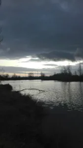 4M AUTO à Muret