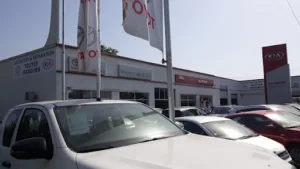Toyota-Magot Cavard à Vélines