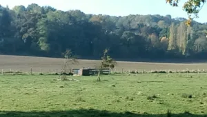 Phil Auto Prestige à Crécy-la-Chapelle