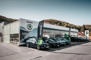CENTRAL AUTOS à Vienne