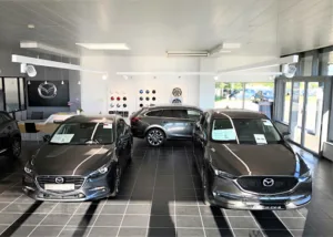 Mont Blanc Auto Valence à Valence