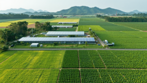Les stations auto-gérées, en lien direct avec les exploitations agricoles, représentent une réponse innovante face aux enjeux climatiques et économiques contemporains. En effet, alors que la demande pour des méthodes de production durable augmente, les exploitations telles que les fermes […]