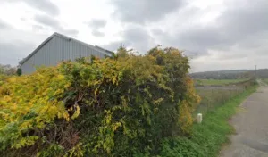 La Perreuse Auto à Oissel