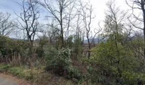 MA2 à Saulce-sur-Rhône