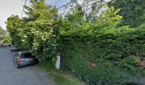 NC AUTO 31 à Cugnaux
