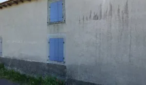 Avatacar Chirac à Chirac